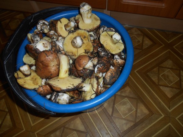 DSCN1642