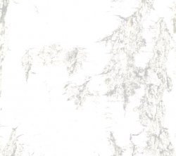 gndrm