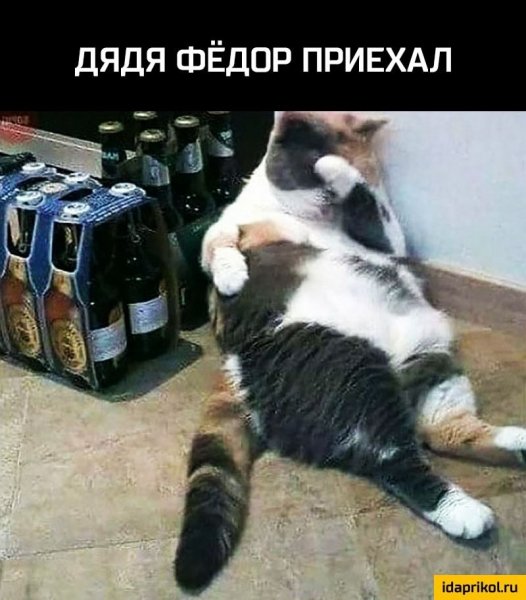 )))))