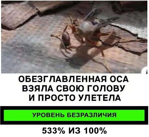 Ваще пох