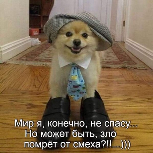 FB IMG 1550746665795