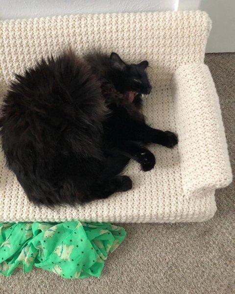 picture_391048176
