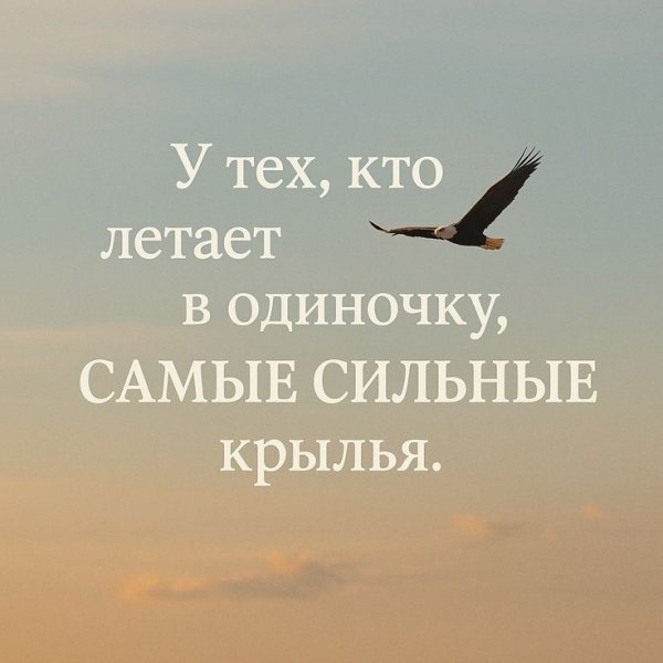 B969803a52d6c32e295f4d29a4c975d7