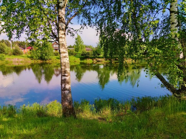 IMG 20200705 153739