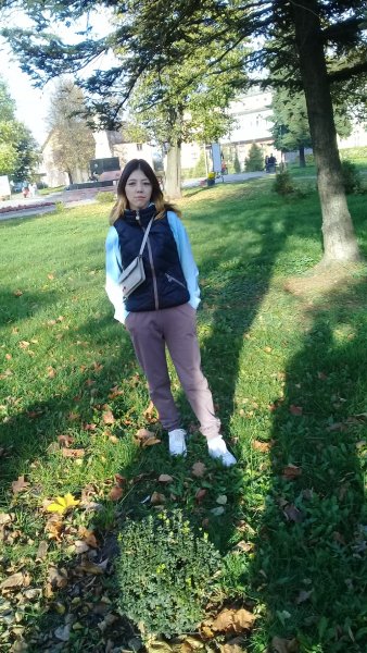 picture_334183945