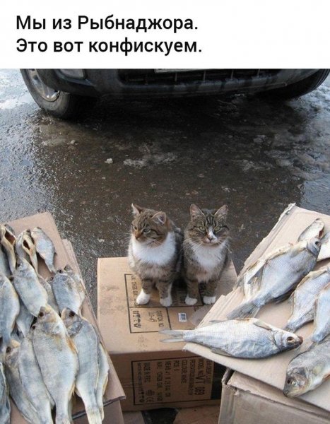Конфискуем