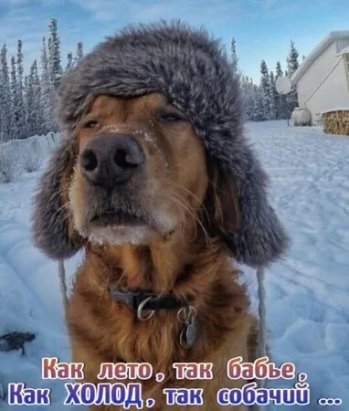 Да! ))