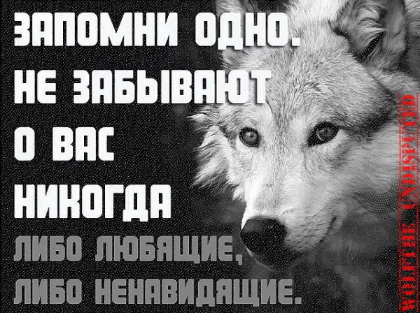 IMG 20200605 061540