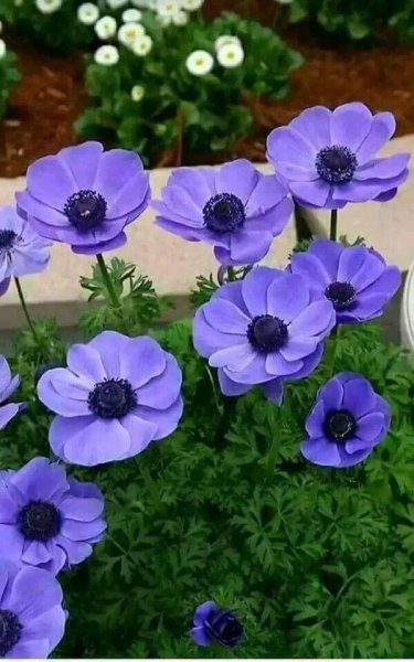 IMG 20230529 030514