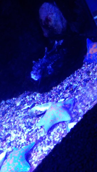IMG 20160206 150016