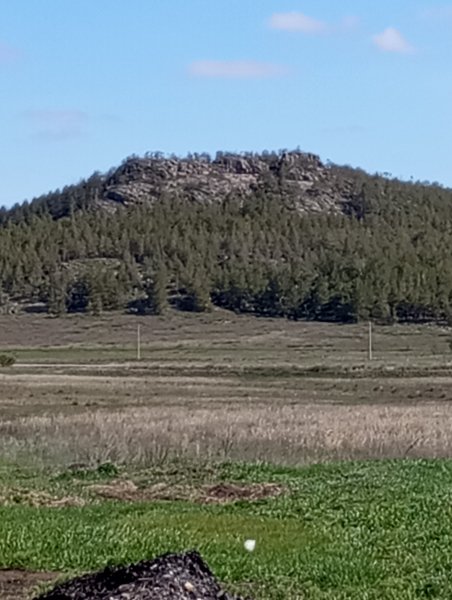 picture_362529877