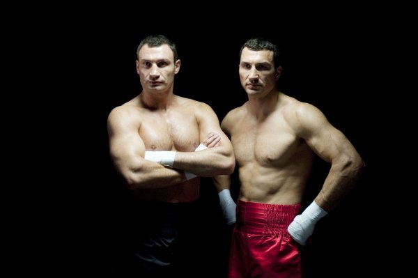 bratya-klichko-boks-box