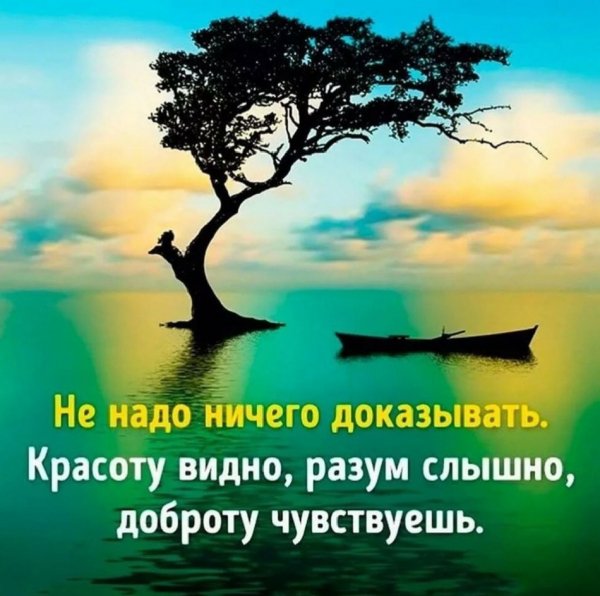 Верные слова!