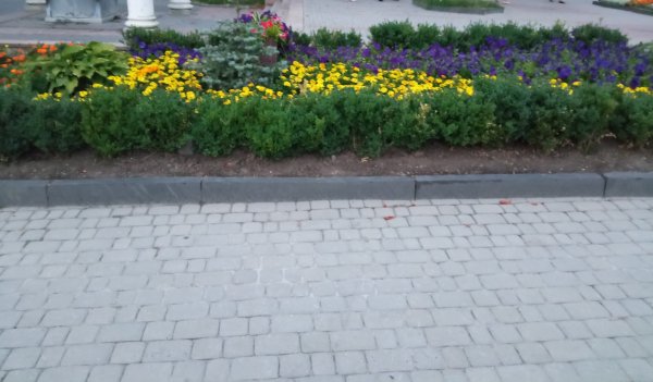 IMG 20230717 232423
