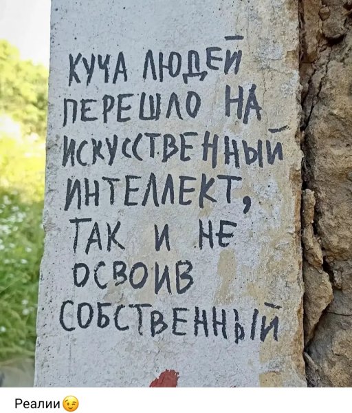 IMG 20260815 201806