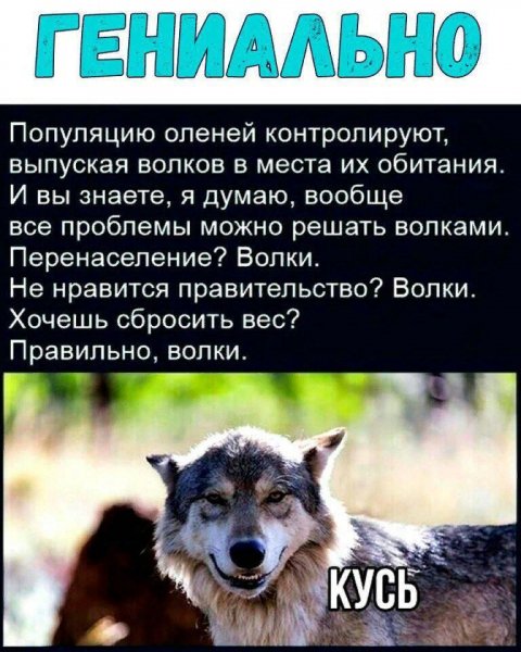 04-инт