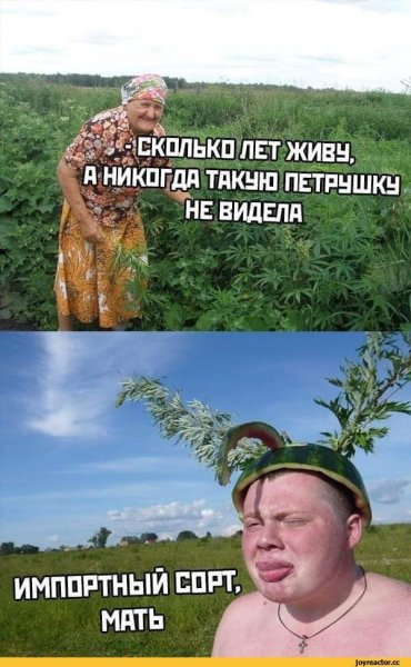 e1a777d7e1177c3d7b033f0835230