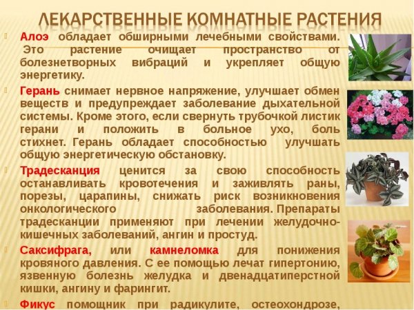 На заметку