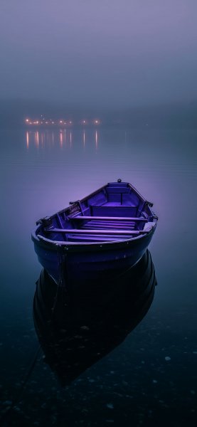 picture_403918427