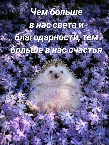 IMG 20250803 170507