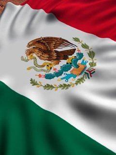 MEXICO COAT 240X320 461511