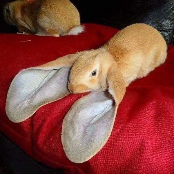 Большой Ух
