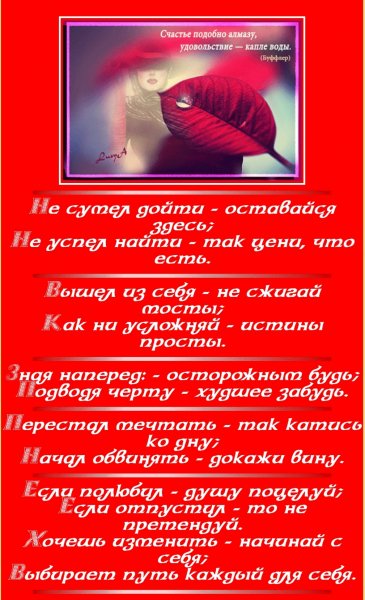 IMG 20240307 031951