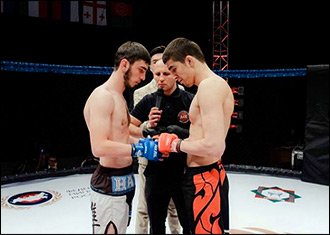 fmrmma330