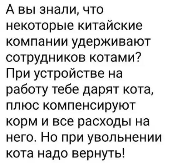 Ход котом)