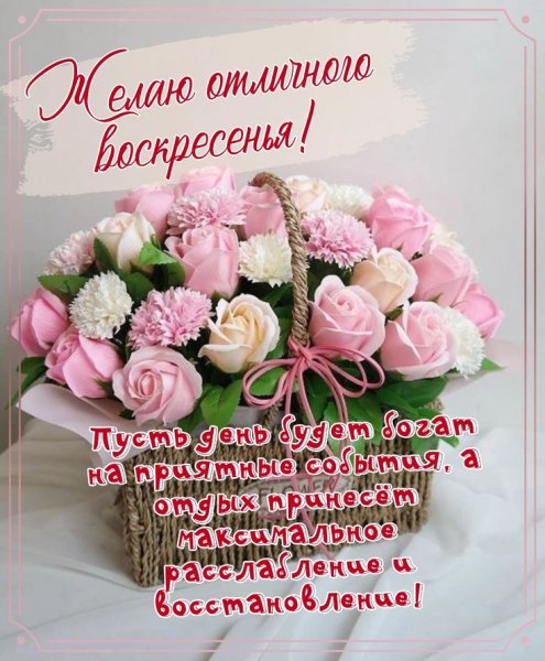 Друзья мои!