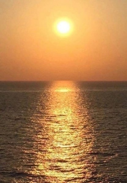 picture_335731220