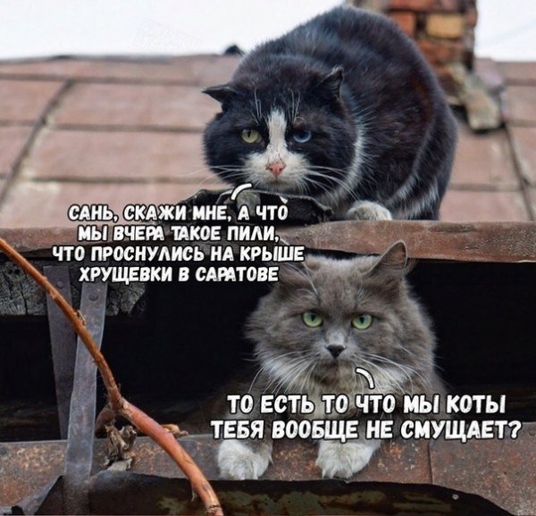 3Z2-UFs7lko