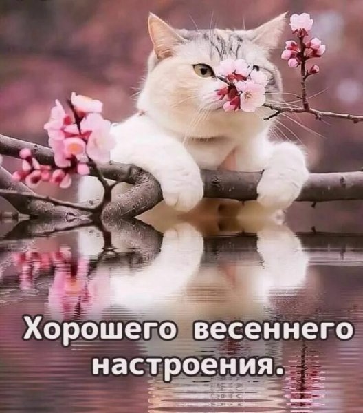 Всем вам!