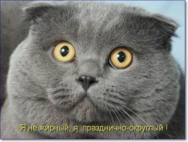Да! ))