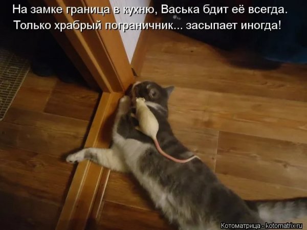 Засыпает иногда!