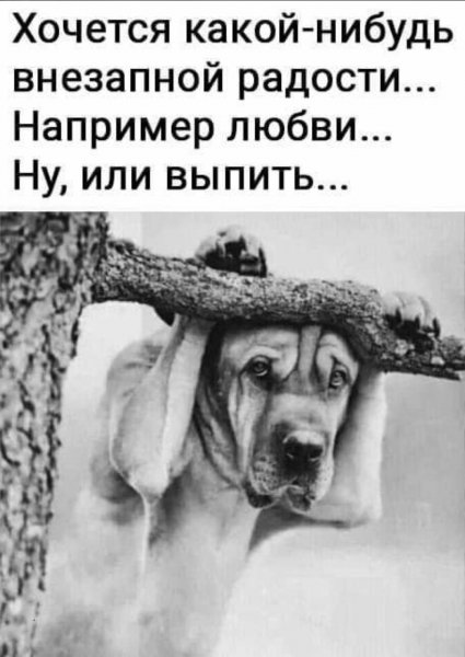 Ну, или выпить...
