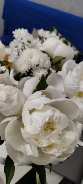 IMG-20240526-WA0006
