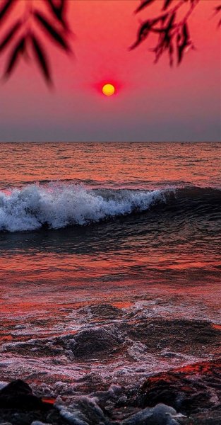 Арт Природа