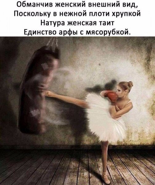 boSGcN BQlA