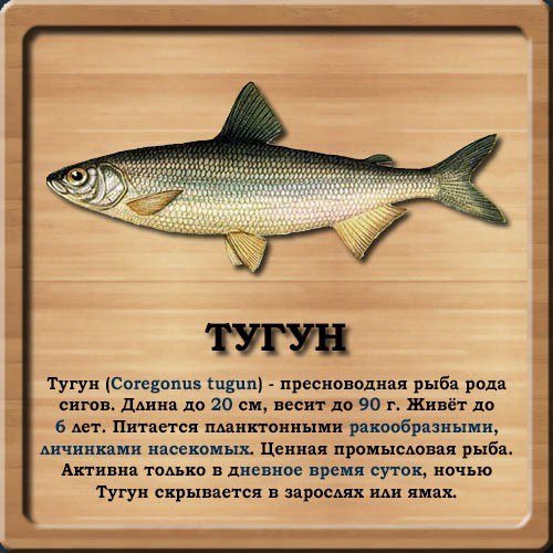 Тугун