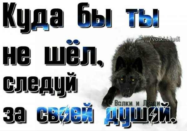 SLvpjninYwo