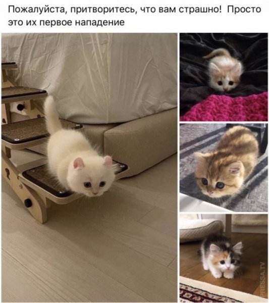 p.600.600.0