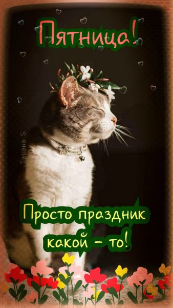 Да! ))