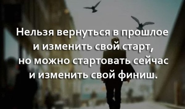 5cf519e7cf933588882337