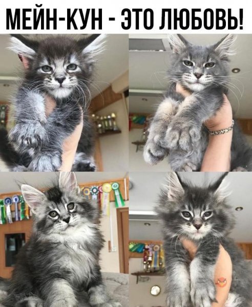 mypeKaUZwl4 1616049613410