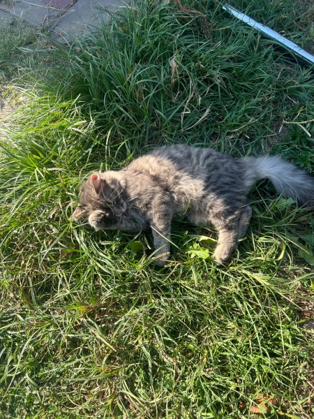IMG 20251203 170607