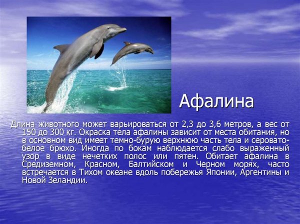 Афалина