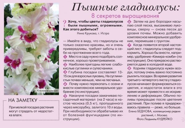 8 секретов