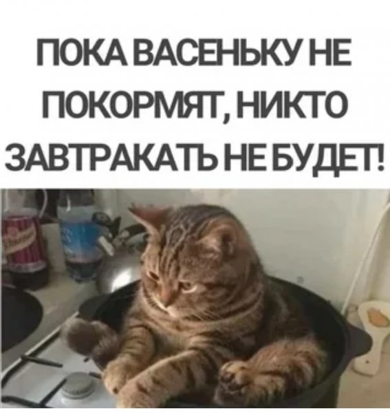 Да! ))
