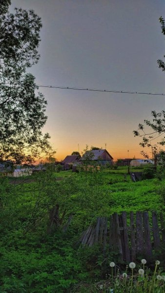 IMG 20231115 094913